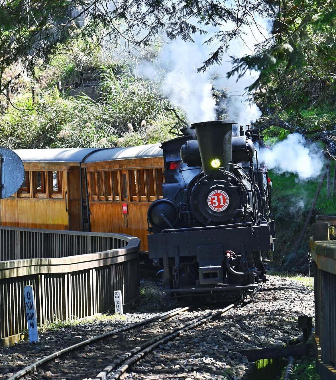 Alishan forest train